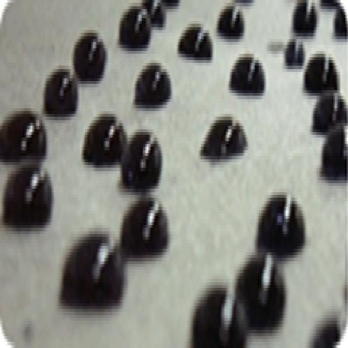 Functional additives